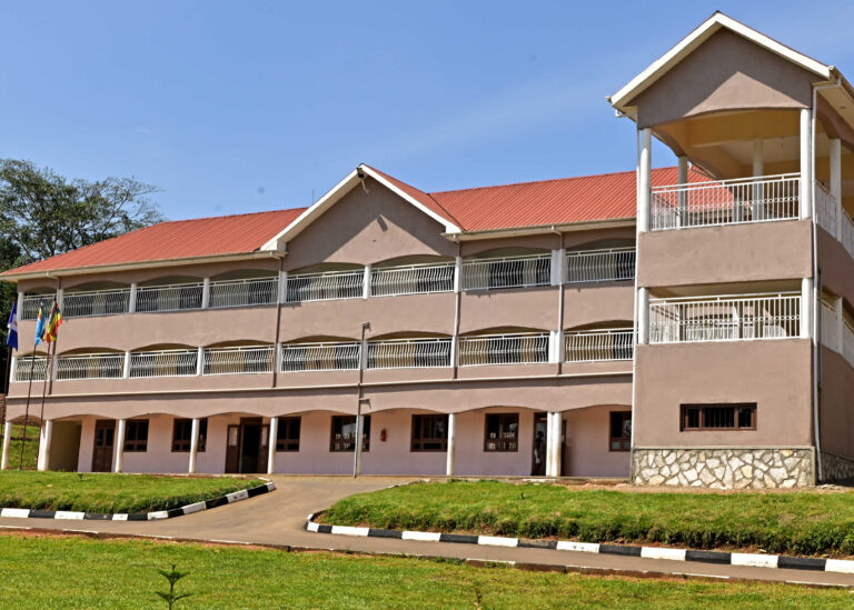 Cornerstone Junior Almuni excel in UCE