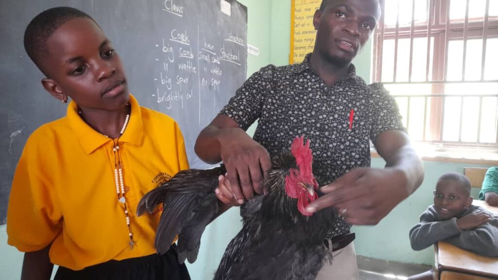 Learning Beyond the Textbook: The Power of Real Objects in Science